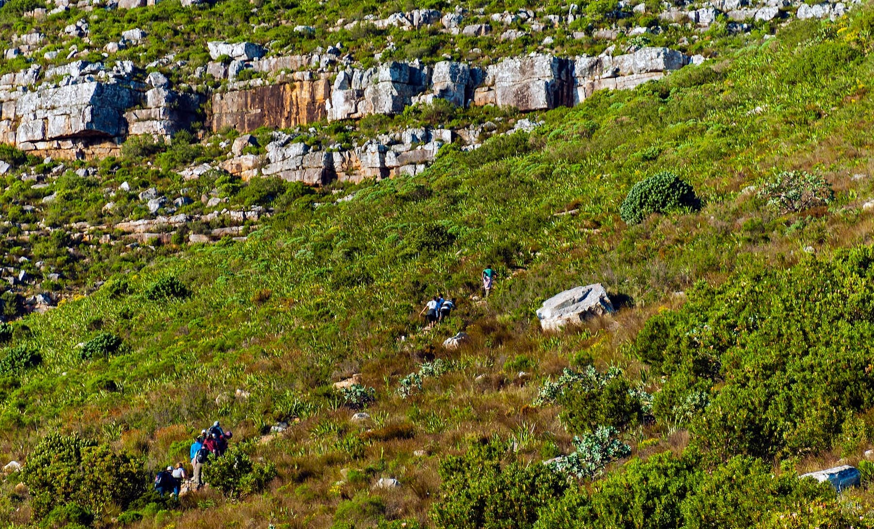 Guides walking a mountain trail