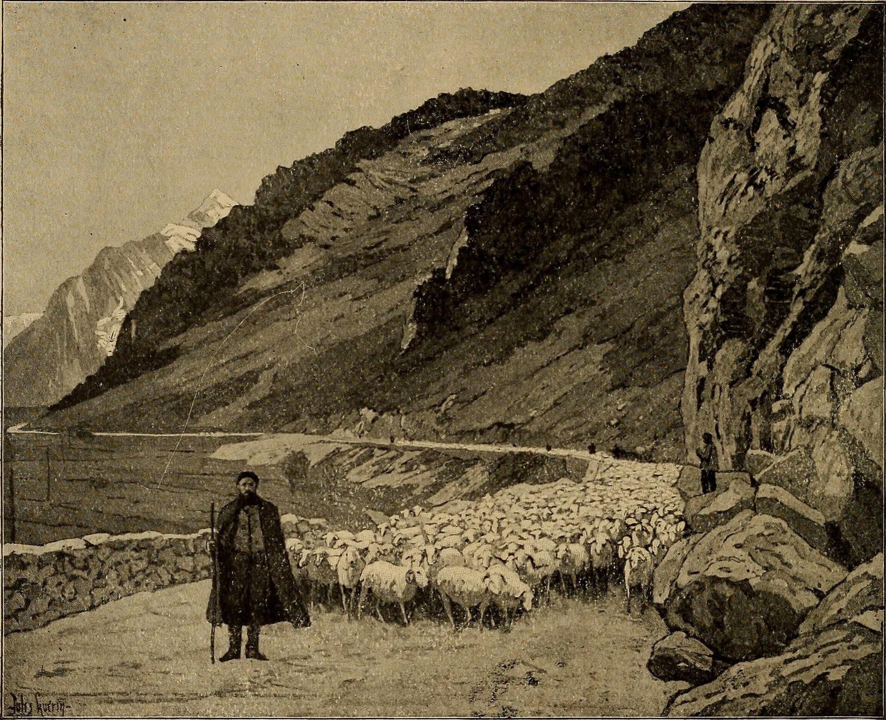 A shepherd moving a flock in the highlands